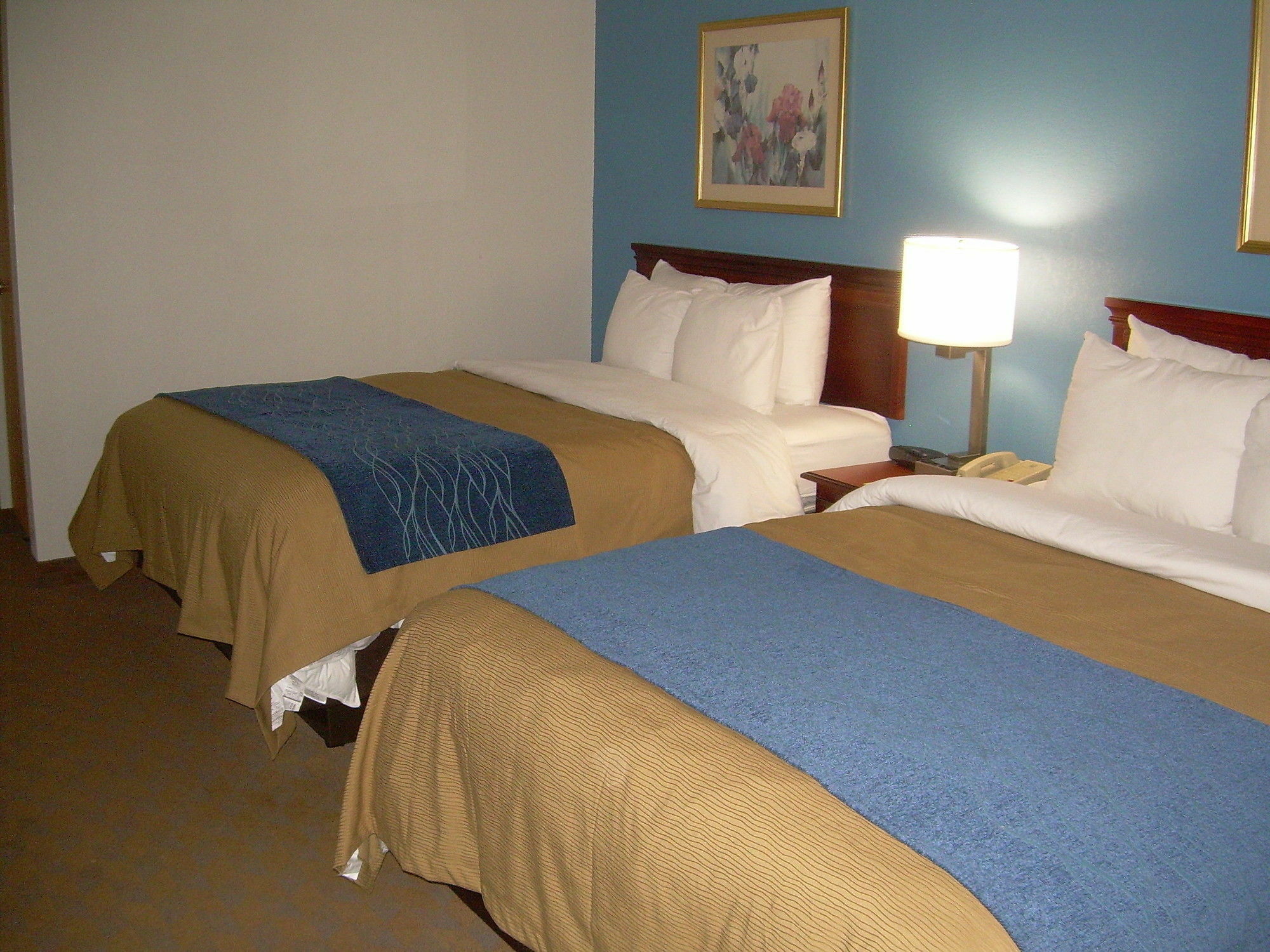Comfort Inn & Suites Lees Summit - Kansas City Саммит Ли Экстерьер фото